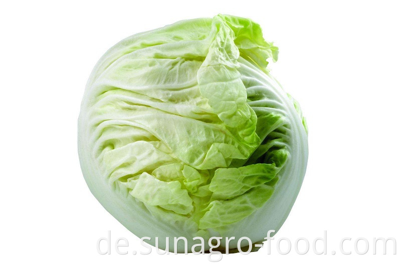 Green Fresh Packaged Cabbage